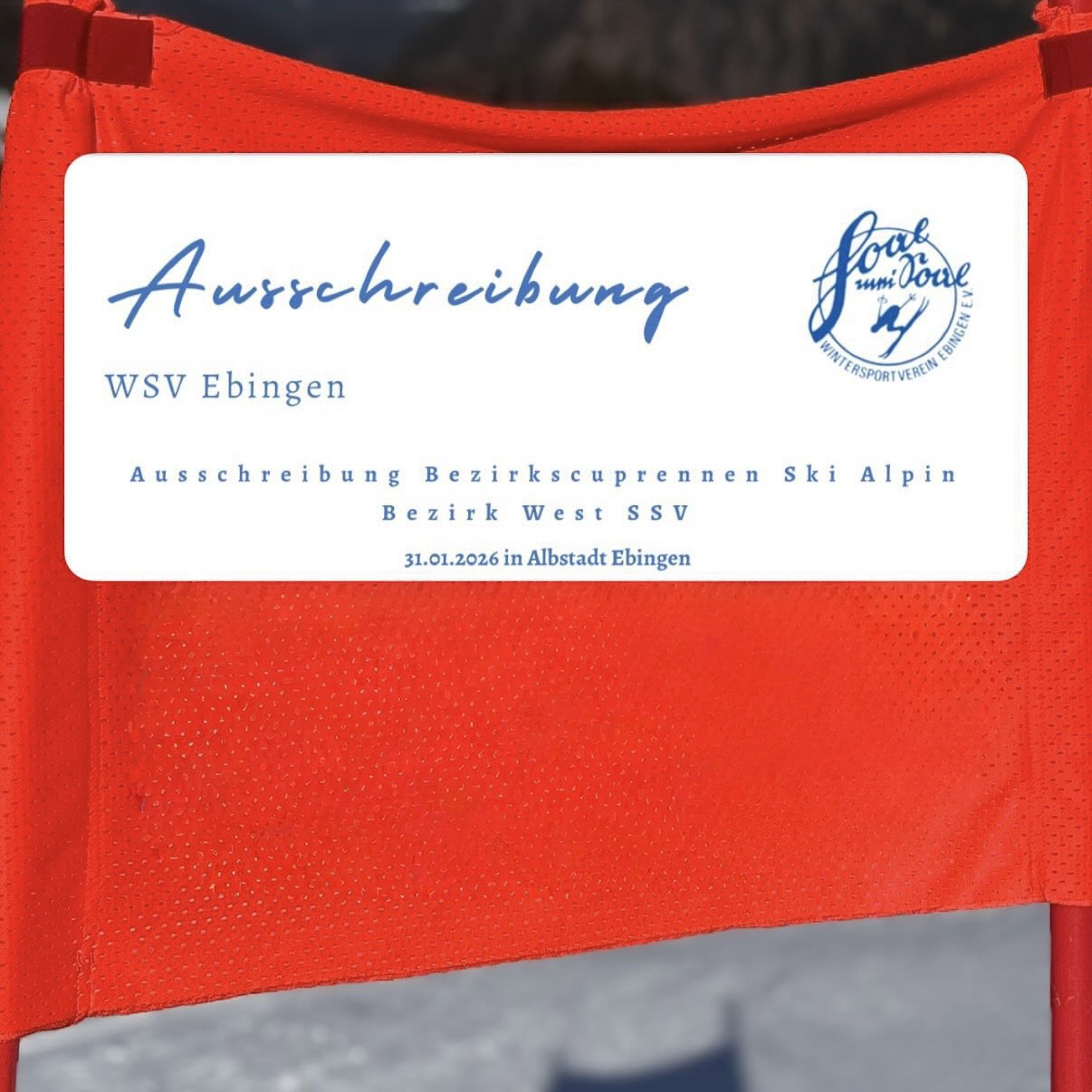 31.01. Bezirkscup Ski Alpin